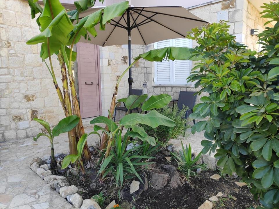 Xenia'S Countryside Guesthouse Agia Marina Dış mekan fotoğraf